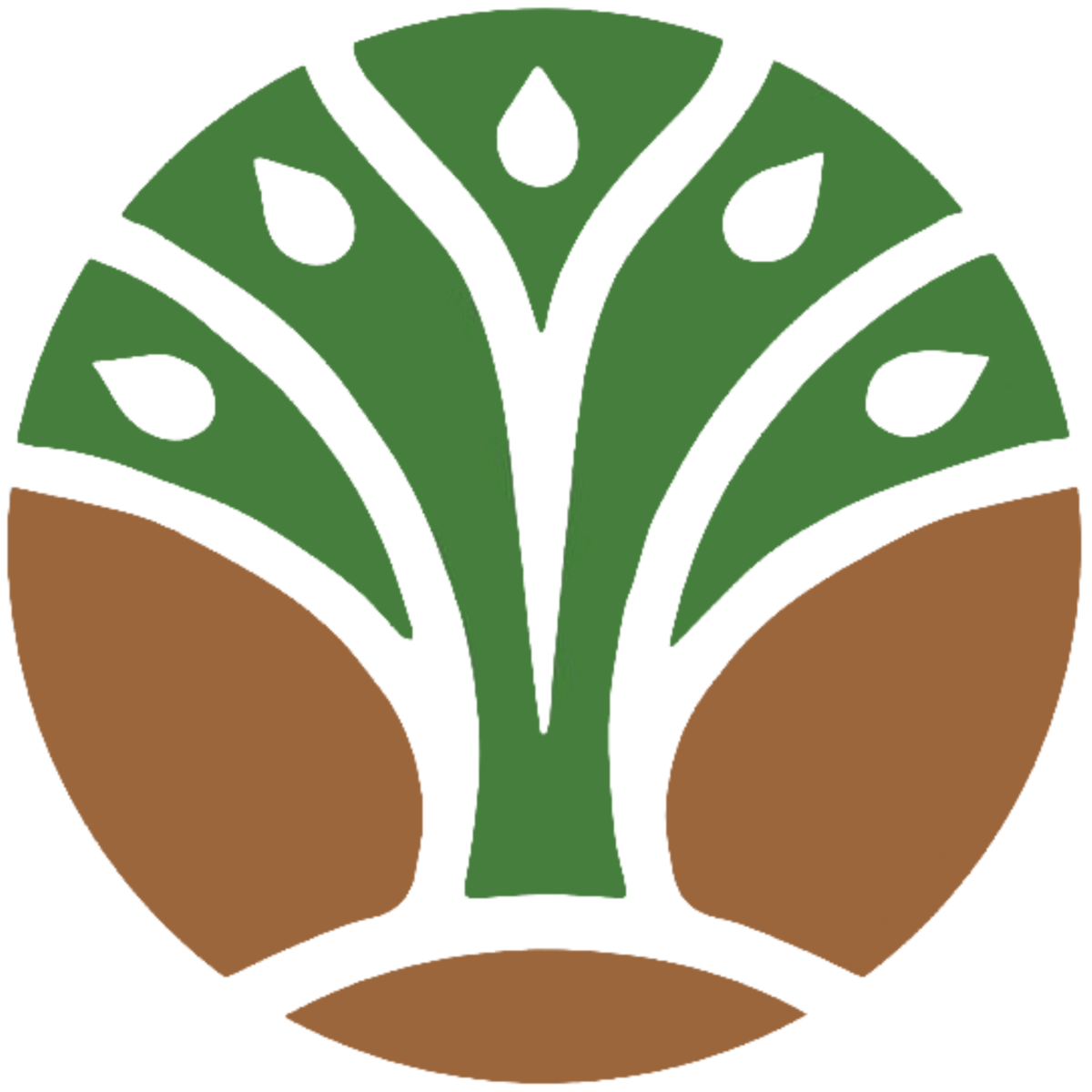 Direktorat Bina Usaha Pemanfaatan Hutan