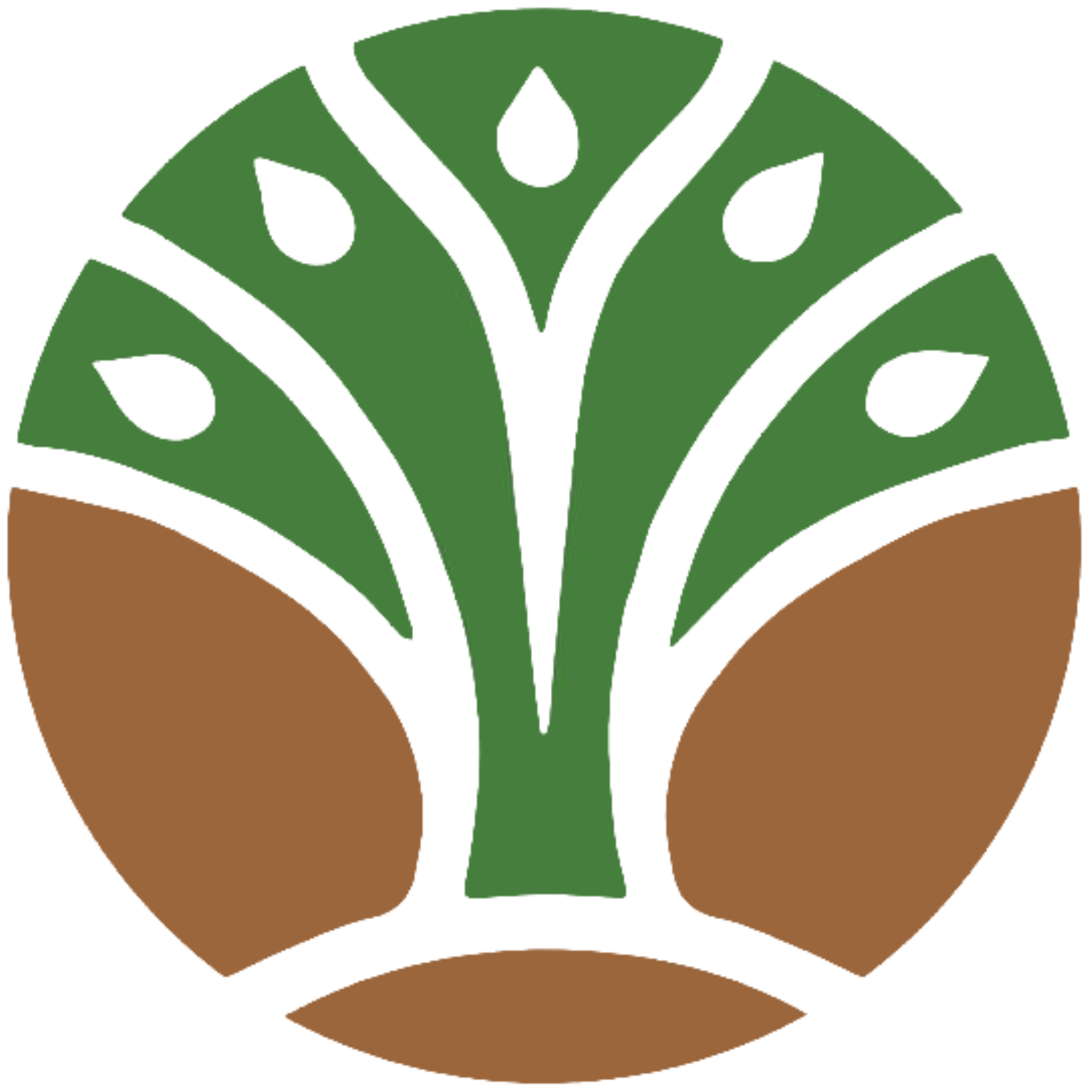 Project Management Unit FOLU NC